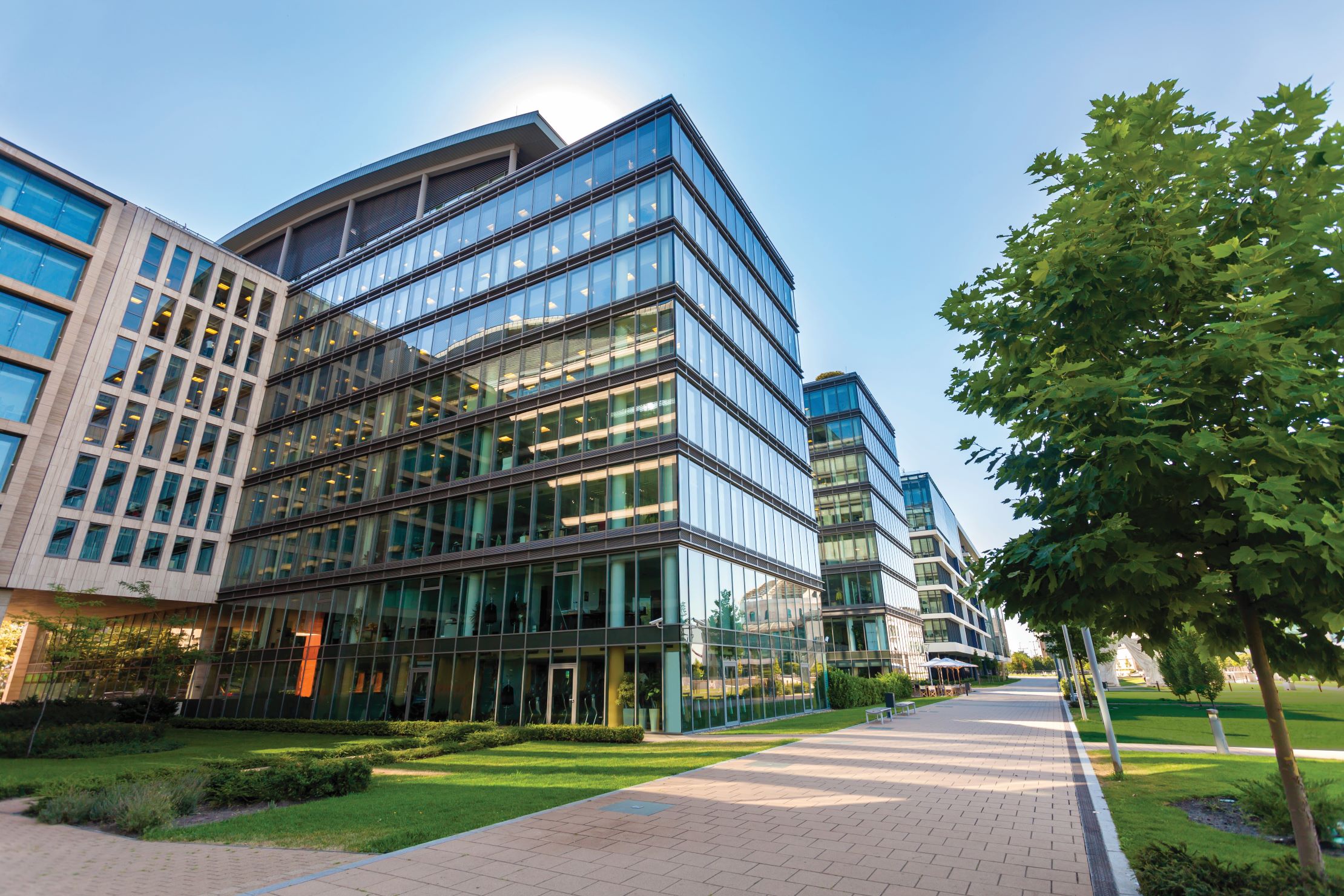 Modern glass office buildings surrounded by greenery and a paved walkway.